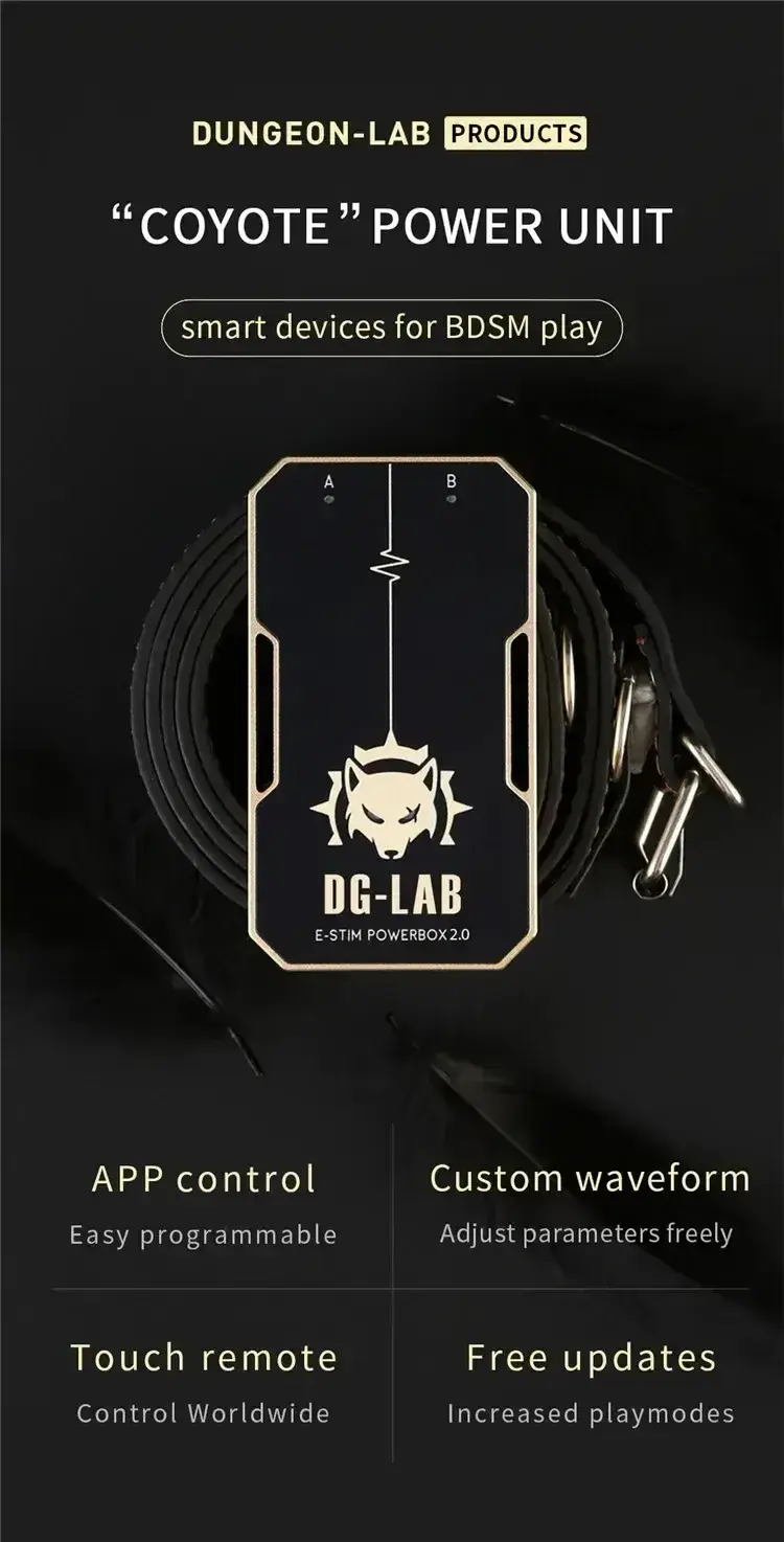 caja de electroestimulacion bdsm metalica