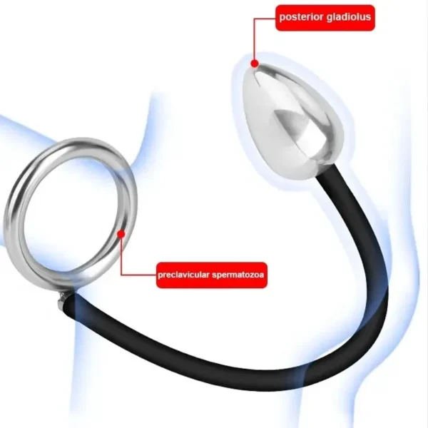 plug anal acero inoxidable grande 1