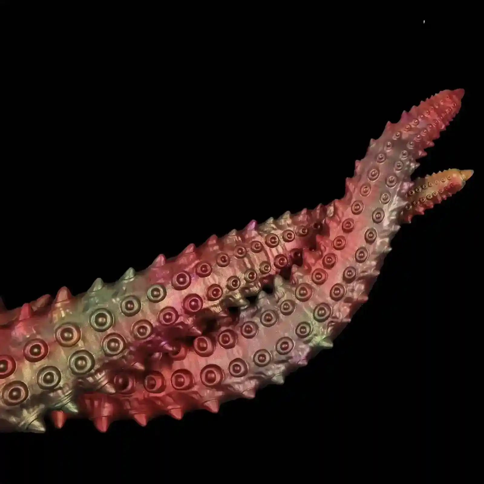 plug anal con ventosa grande 5