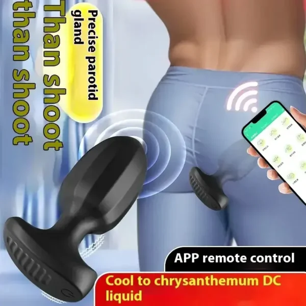 juguete anal remoto control app 1