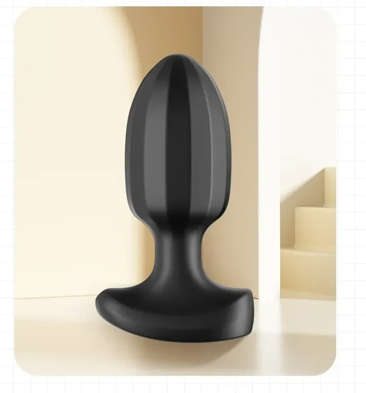 plug anal control remoto app